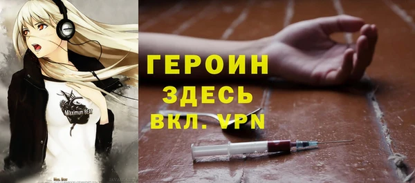 индика Беломорск