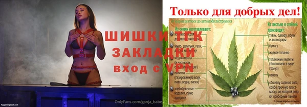 индика Беломорск