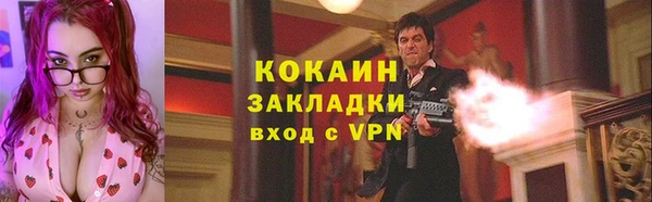 индика Беломорск