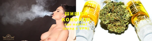 индика Беломорск
