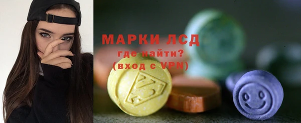 индика Беломорск