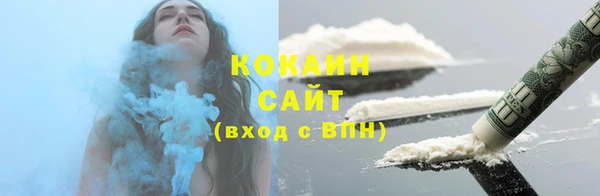 индика Беломорск