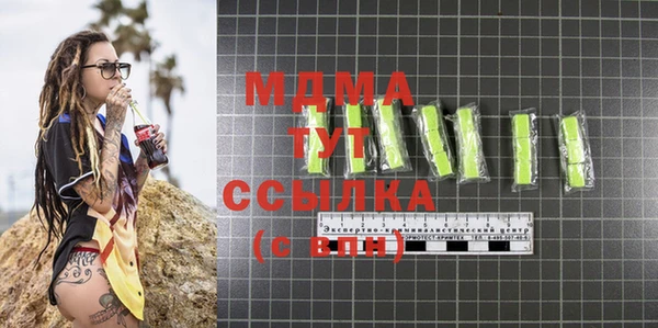 индика Беломорск