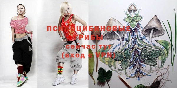 твердый Белоозёрский