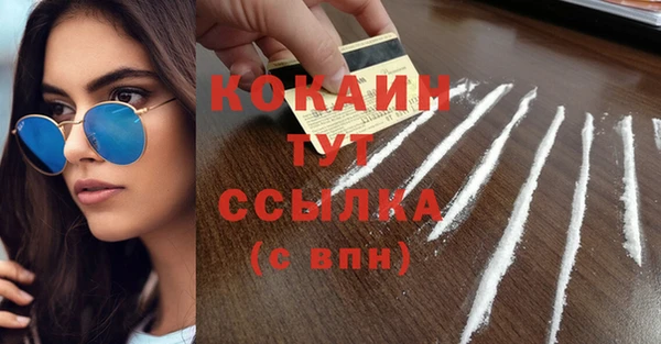 индика Беломорск